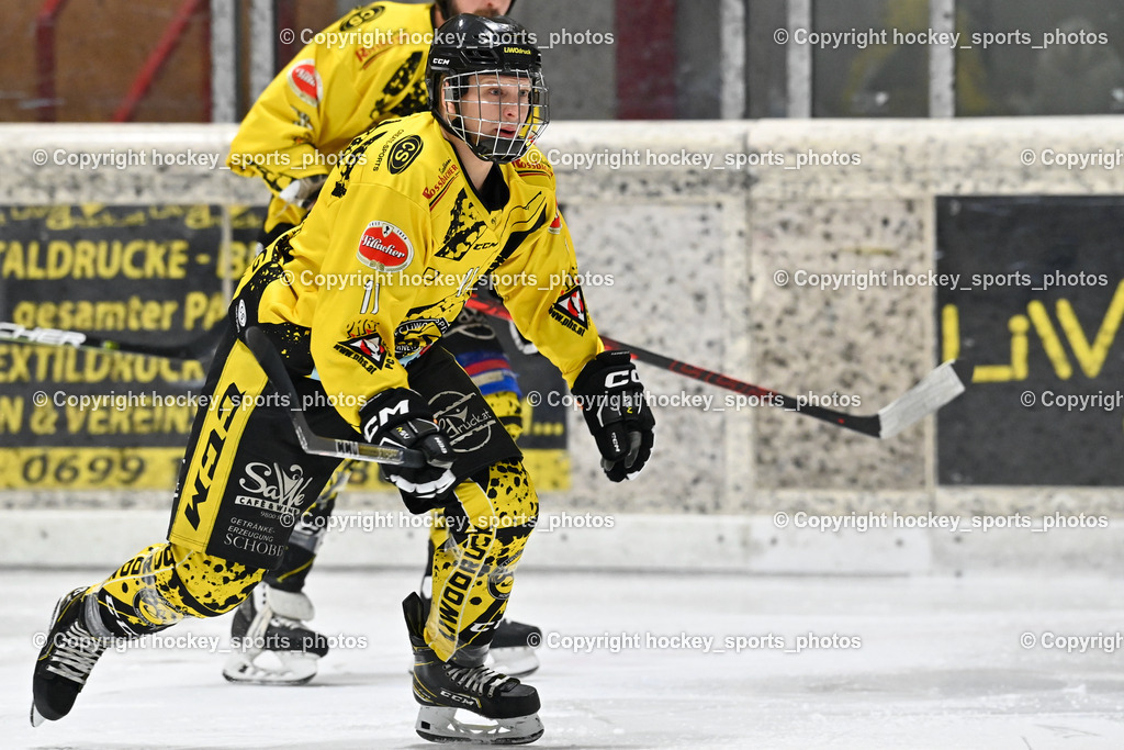 EC Spittal Hornets vs. ESC Steindorf 7.12.2022 | #11 Kucher Florian
