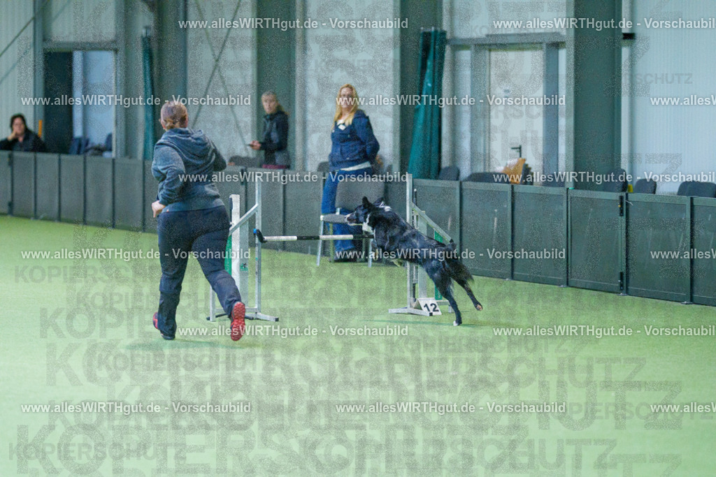 @allesWIRTHgut_Tierfotografie - www.allesWIRTHgut.de - 2604260831-7R507078 | Professionelle Tierfotografie in Mönchengladbach von Daniel Wirth (allesWIRTHgut). Liebevolle & natürliche Bilder von Hunden & Katzen für unvergessliche Erinnerungen.