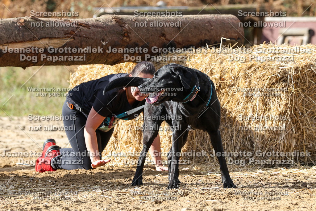 Dog Paparazzi - Strongdog 10-25-5069 | Dog Paparazzi Jeanette Grottendiek Fotografie & Videografie - Realisiert mit Pictrs.com