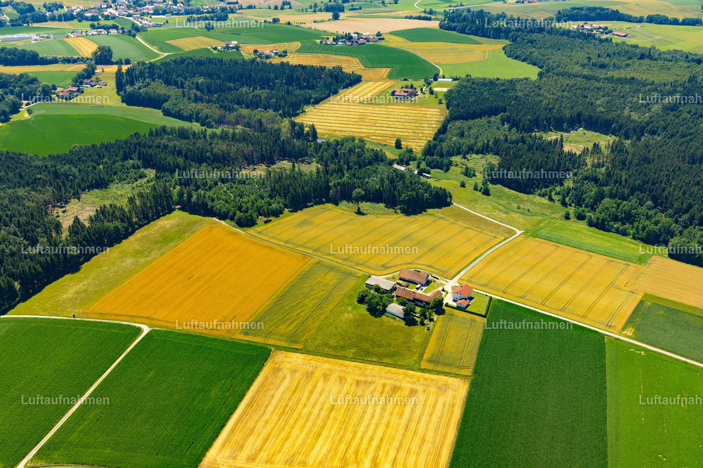 Luftaufnahmen für Landwirte und Agenturen mir Drohne oder Flugzeug.Mit Lizenz und Bildrechte bestellbar