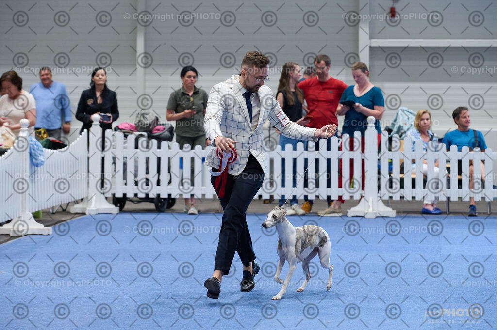 202406_ÖKV-IHA-Tulln24_DSC_5241 | proPHOTO - Realisiert mit Pictrs.com