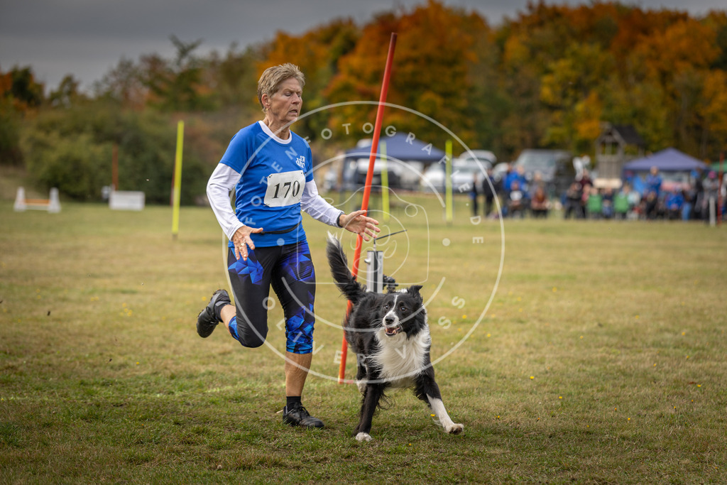 Pfotenfotografie_DV3A5879 | Hundefotografie, Tierfotograf, Pfotenfotografie, Fotoshooting Hund, Hunde Portrait, Hundesport, Hundeportraits, Heideshooting, Hunde, Sportfotograf, Hundefotograf, Turnierhundsport, THS,  - Realisiert mit Pictrs.com