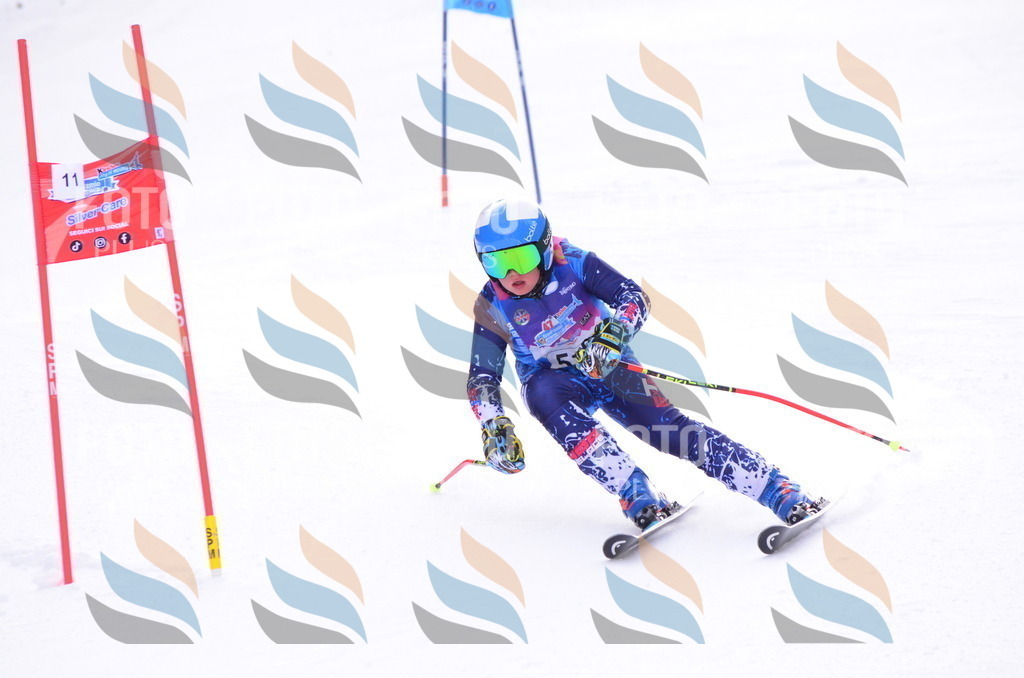 A5564 | holidayphoto