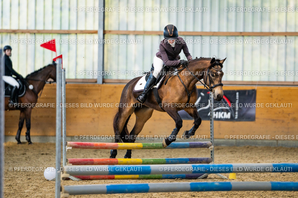 DSC01173 | Pferdegrafie