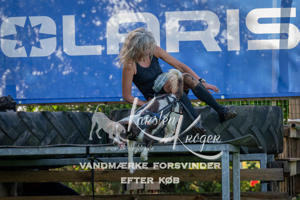 1129-92108 | kk-dogfotos