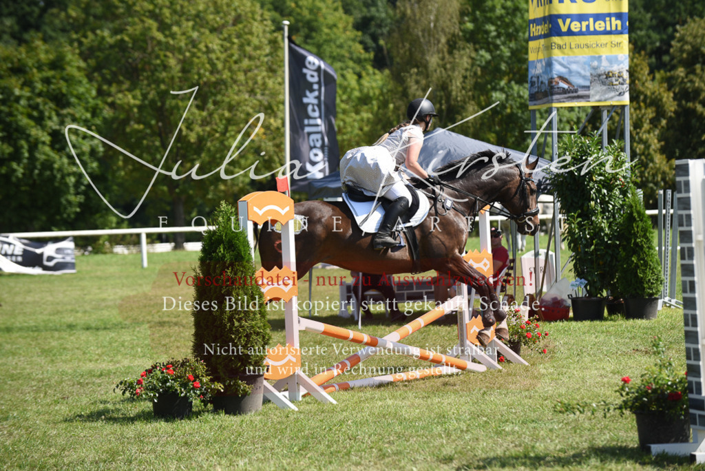 DSC_0373 | Pferde- und Turnierfotografie in Westsachsen. Pferdeportraits, Auftragszeichnungen und intuitive Kunst.