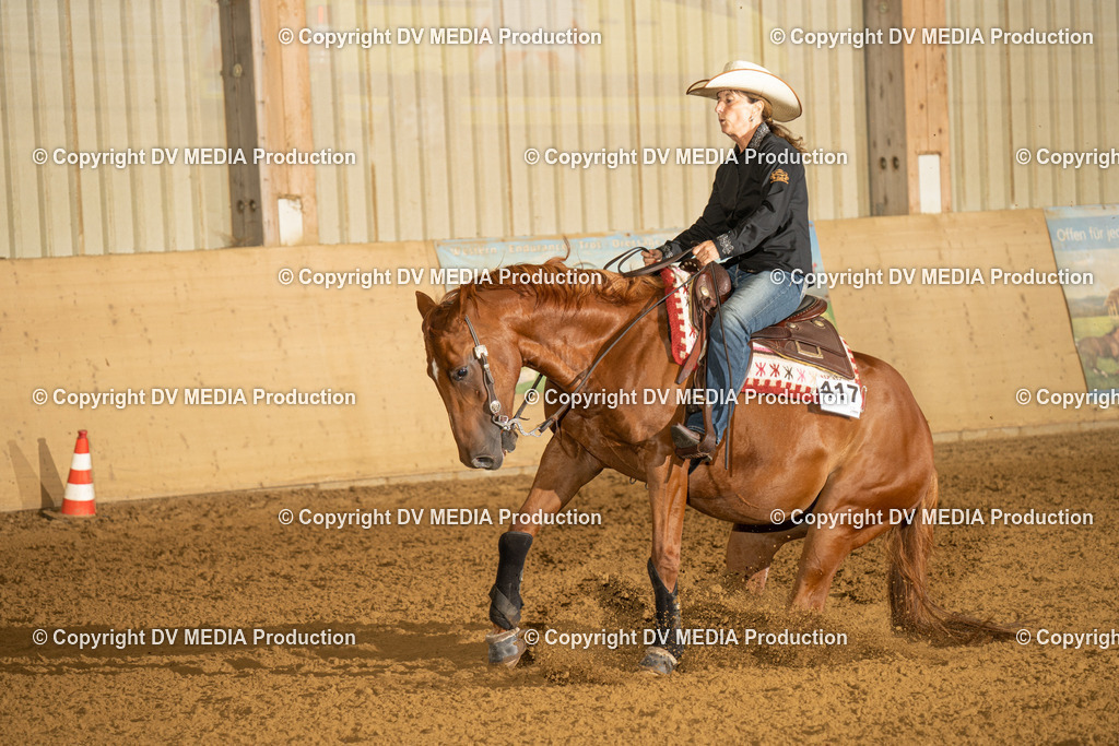 LAU00357 | dv-media-shop - Realisiert mit Pictrs.com