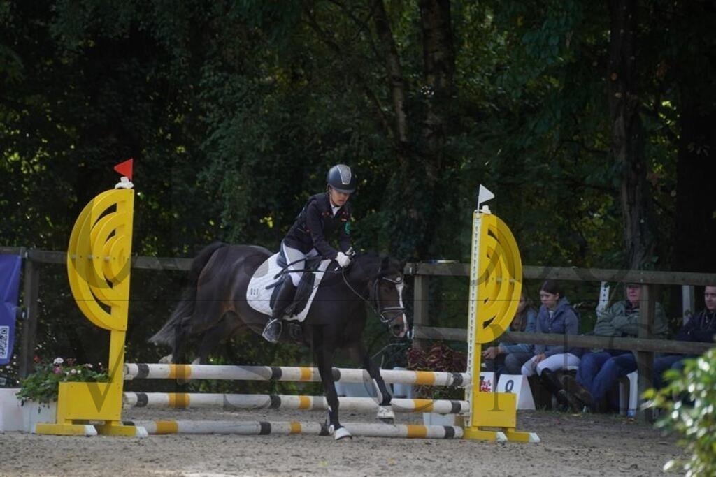 rveinoedsonntag (402) | d.tail Visions - Shop - Realisiert mit Pictrs.com