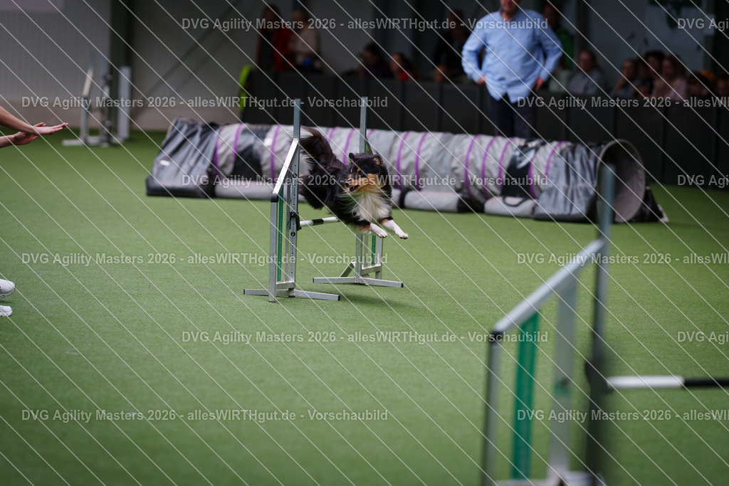 allesWIRTHgut_Tierfotografie-DVG_Agility_Masters_2026-11_11-7R505112 | Professionelle Tierfotografie in Mönchengladbach von Daniel Wirth (allesWIRTHgut). Liebevolle & natürliche Bilder von Hunden & Katzen für unvergessliche Erinnerungen.