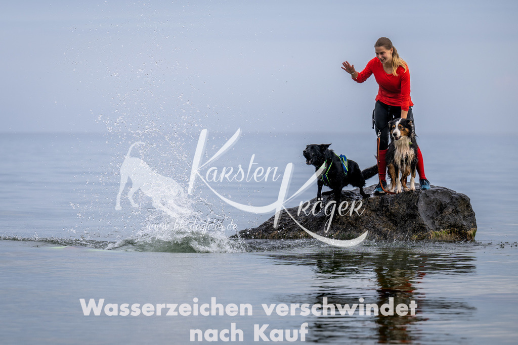 1217_ZZ90756 | kk-dogfotos