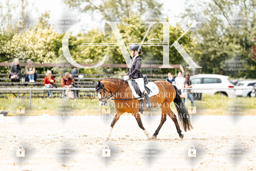 CK902305 | Turnierfotografie Pferdefotografie Trier Rheinland-Pfalz Pferdesport Reitsport Tierfotografie Sportfotografie Pferdevideo Pferdevideografie Equestrianvideography equestrianphotography  - Realisiert mit Pictrs.com