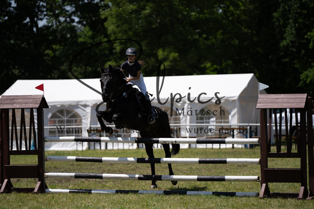 A7V06203 | Pferdefotograf