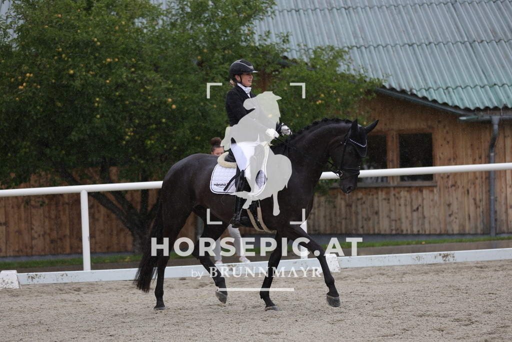 0P6A0452 | Willkommen bei Brunnmayr - Design & Fotografie – Ihrem Spezialisten für Reitturniere und Pferdeveranstaltungen in Oberösterreich, Salzburg und Bayern! Seit über 17 Jahren sind wir leidenschaftlich dabei.