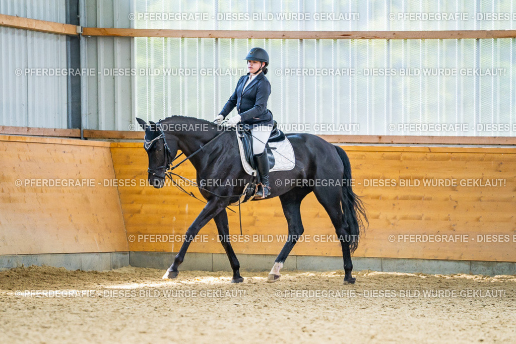 DSC04361 | Pferdegrafie