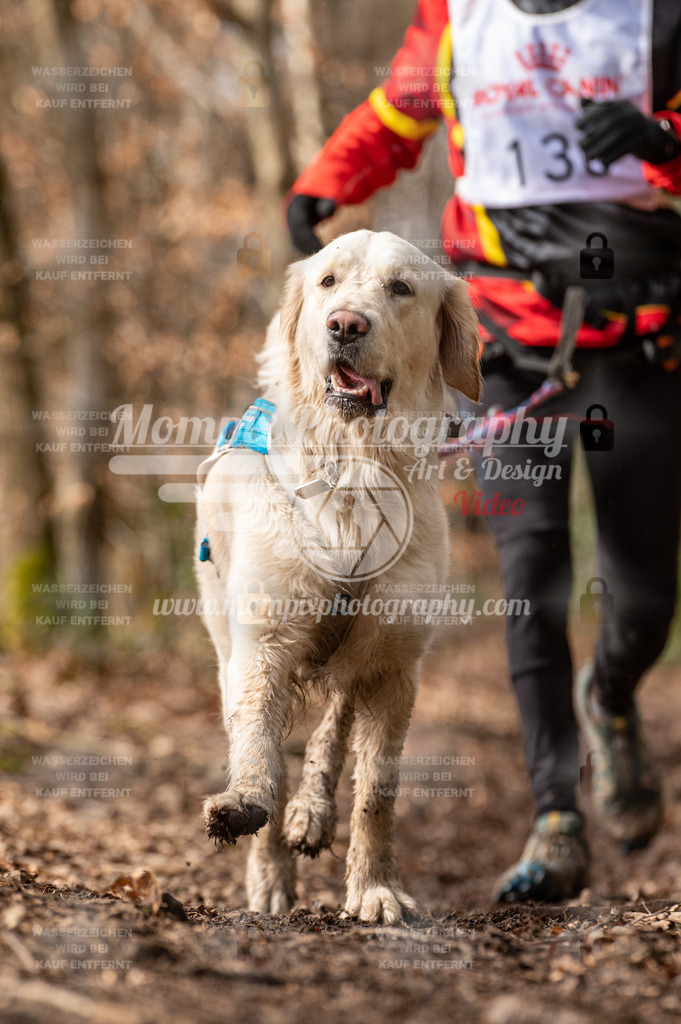 SPA_2023_DIM_Fun-41 | PayLife