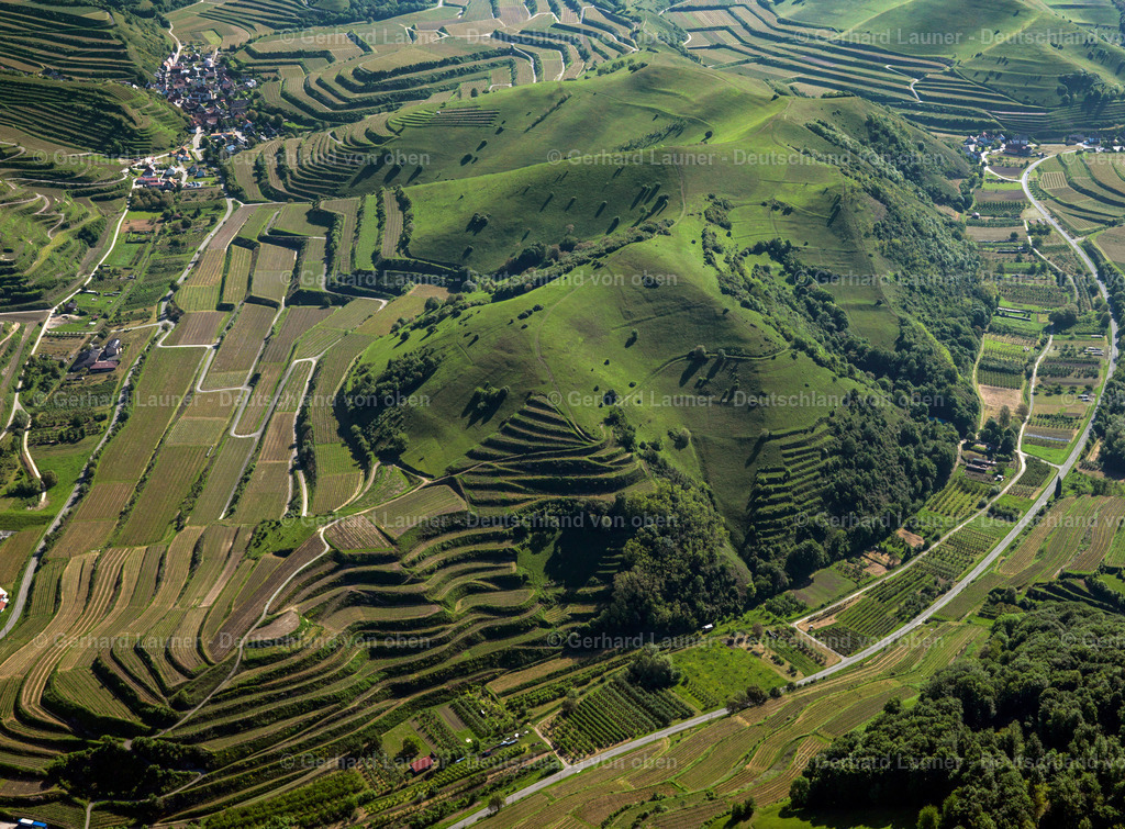 3096242 | Terrassenweinberge und Naturschutzgebiet am Badberg, Kaiserstuhl
