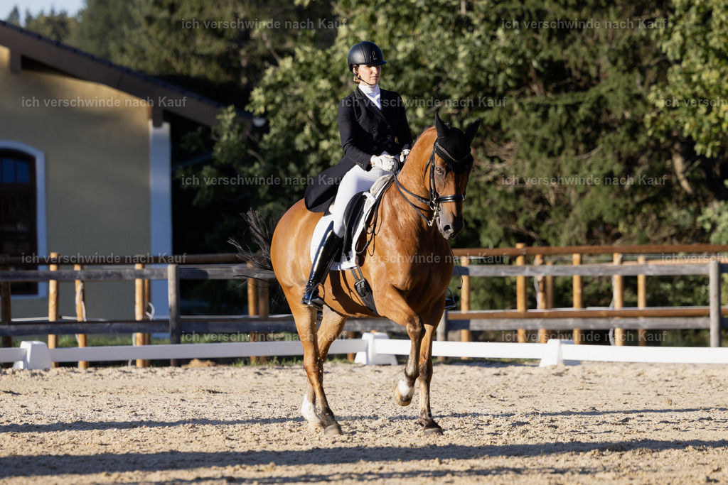 FHC2026_P09_12_19226 | Fichtenhof Classics 2026 – Grand Prix de Dressage - VOLTAIRE Design Preis, Reitanlage Fichtenhof, Sch ftlarn