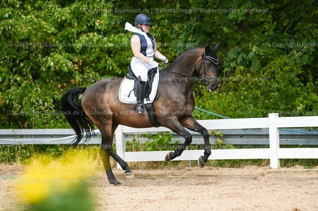 20230715_02_Dressurreiterprüfung Kl.L_0383 | equistock