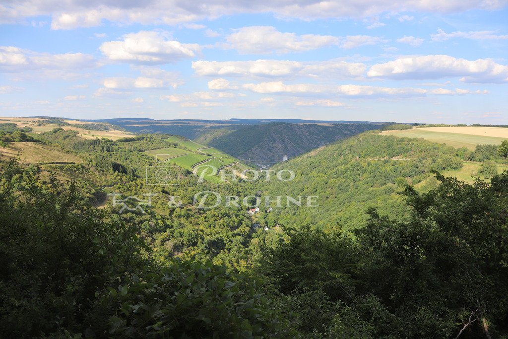 Schönburg-8375 | Das Niederbachtal ist ein Seitental des Rheins. Am Niederbach findet man viel Wald und Natur. An diesen Aussichtspunkt führt der Schwede-Bure-Weg. - Realisiert mit Pictrs.com