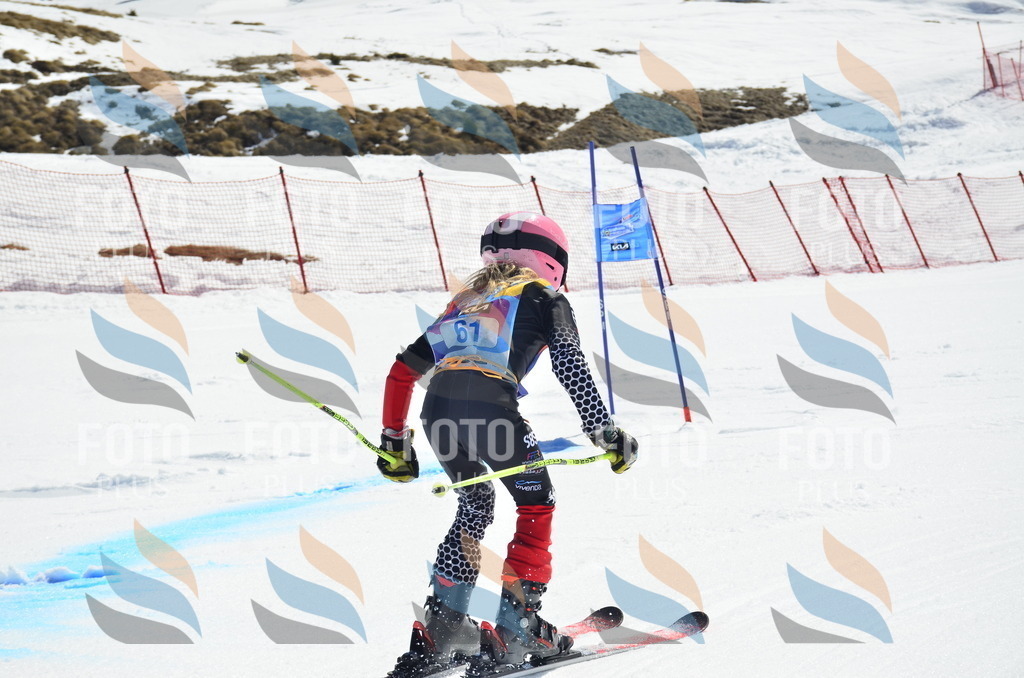 _ELE0242 | holidayphoto