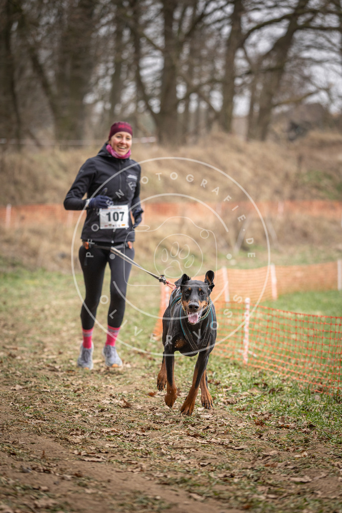 Pfotenfotografie_DV3A7510 | Hundefotografie, Tierfotograf, Pfotenfotografie, Fotoshooting Hund, Hunde Portrait, Hundesport, Hundeportraits, Heideshooting, Hunde, Sportfotograf, Hundefotograf, Turnierhundsport, THS,  - Realisiert mit Pictrs.com