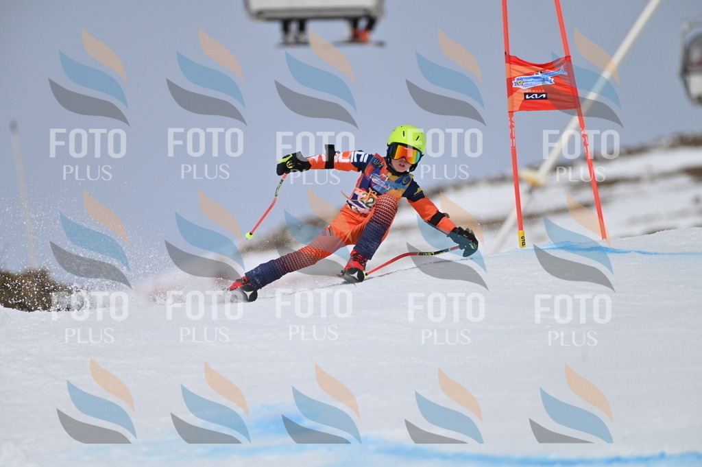 BGV_4400 | holidayphoto