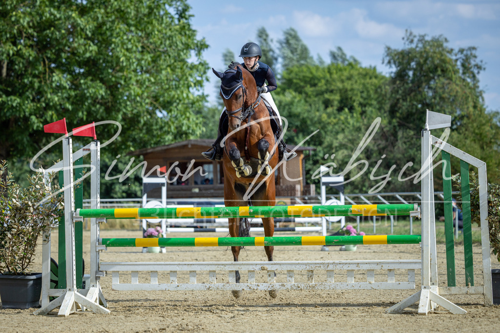 20260704-_3LI2124 | Tierfotografie Pferde, Hunde, Katzen, Haustiere.
Turnierfotografie Reitturniere, Reiten, Springreiten, Dressur in Hanau, dem Main-Kinzig-Kreis und dem Rhein-Main- Gebiet um Frankfurt