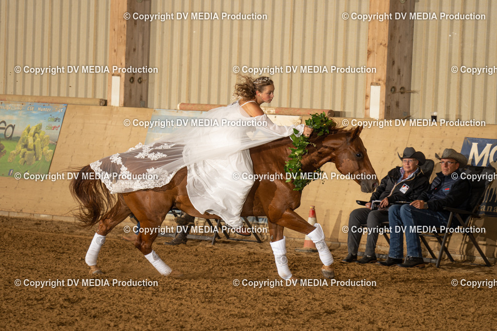 LAU01196 | dv-media-shop - Realisiert mit Pictrs.com