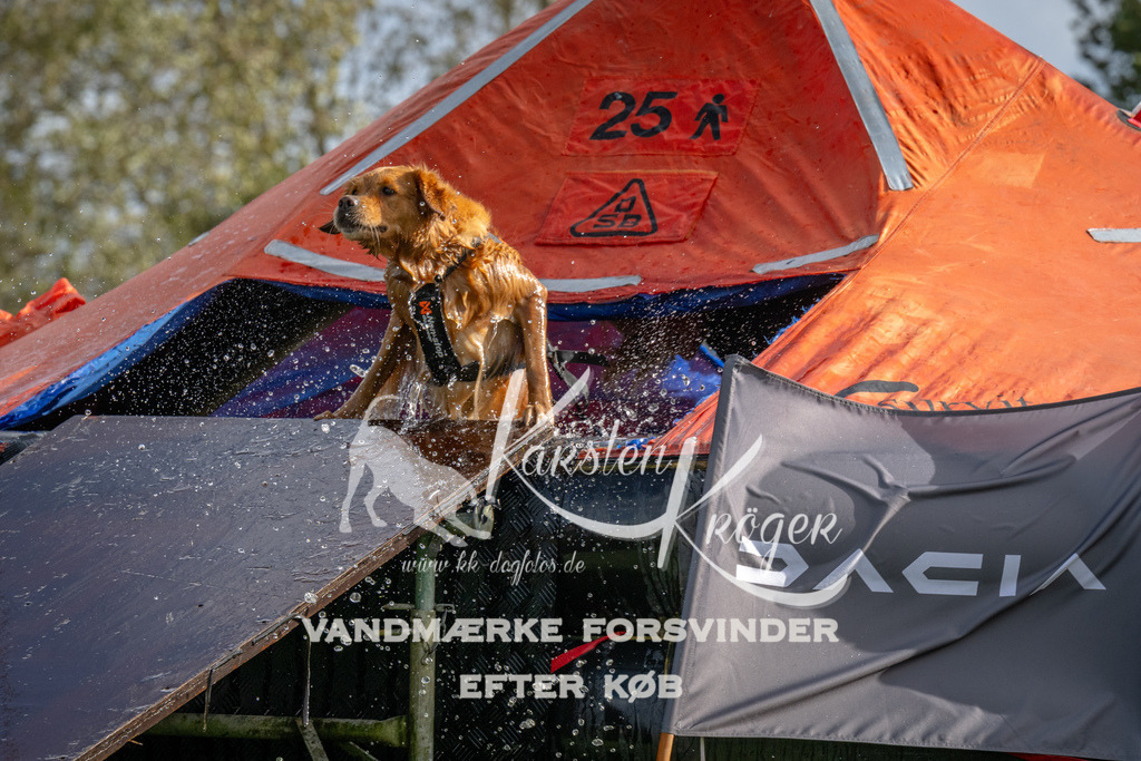 1212-92771 | kk-dogfotos