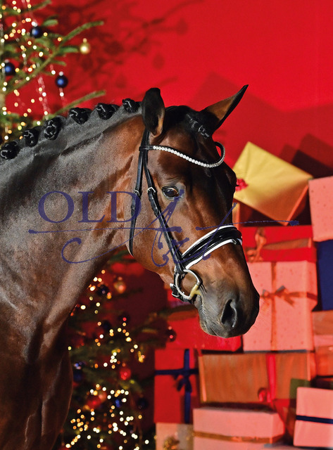 01 Big Bang OLD DE433330316519 WM-Rpf Benefit - Fidertanz - Rubinstein I_1_a | <meta name="description" content="★Offizieller Merchandise und Foto-/Videostore des Oldenburger Verbandes.★ ✅Jetzt auch digital Ausdrucke erhältlich." />
<meta name="keywords" content="Merchandise Foto-/Videostore Oldenburger Verband Photographie 