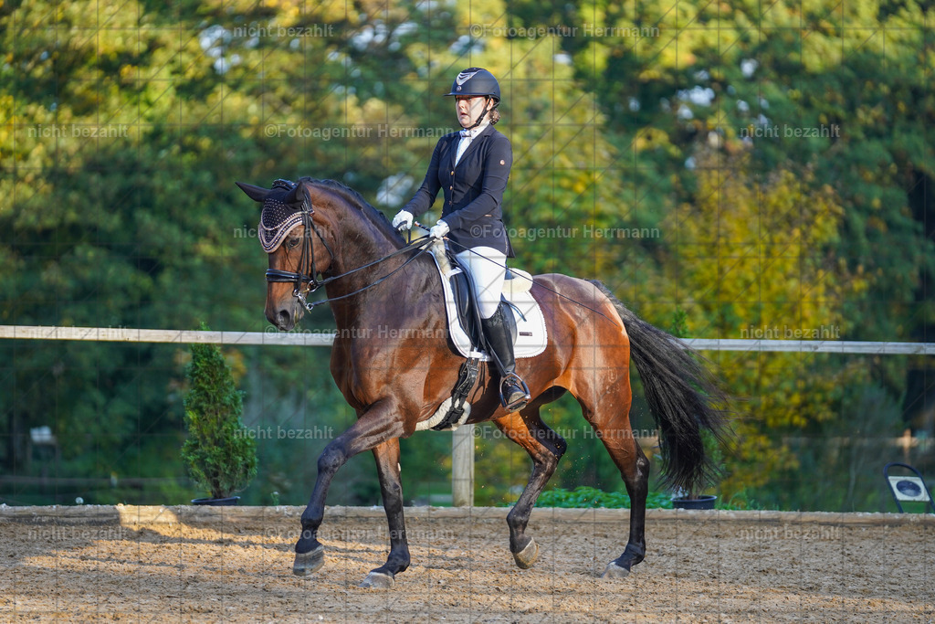 20221007-FAH00408 | Diessen am Ammersee, 2022, Dressur- und Springturnier, Reitsportbilder, Turnierfotografen Bayern, Pferdefotografen, Fotoagentur Herrmann, Turnierbilder