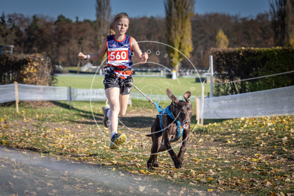 CaniXpix_DV3A8684 | Hundefotografie, Tierfotograf, Pfotenfotografie, Fotoshooting Hund, Hunde Portrait, Hundesport, Hundeportraits, Heideshooting, Hunde, Sportfotograf, Hundefotograf, Turnierhundsport, THS,  - Realisiert mit Pictrs.com