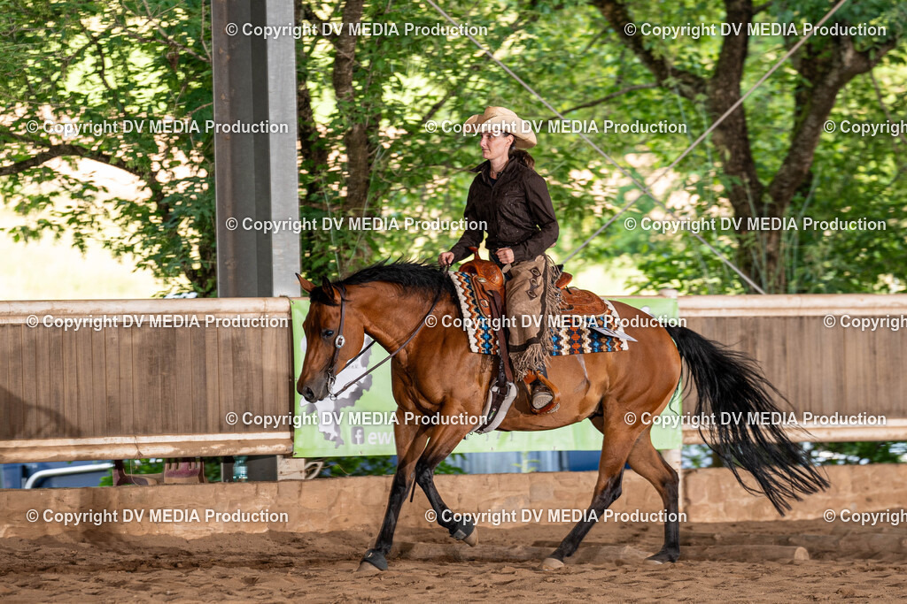 Erbach Tag 1-1135 | dv-media-shop - Realisiert mit Pictrs.com