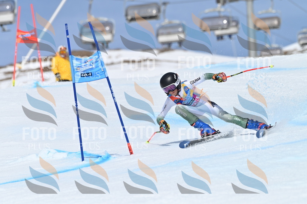 BGV_1109 | holidayphoto