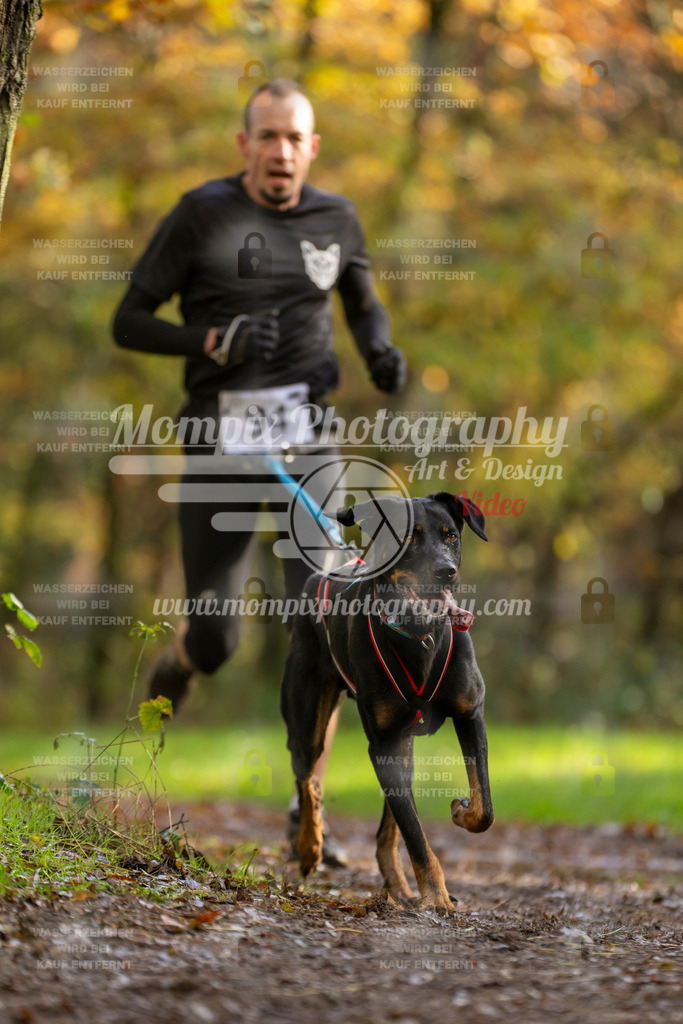 MompixPhotography_Bischwiller23_Canicross-32 | PayLife