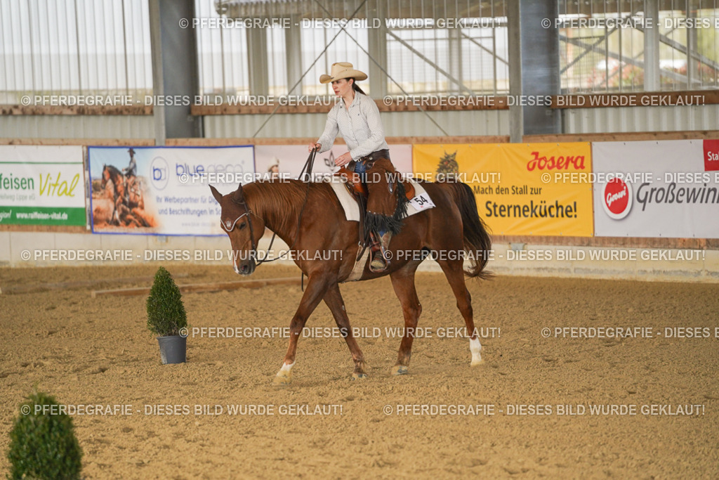 DSC01634 | Pferdegrafie