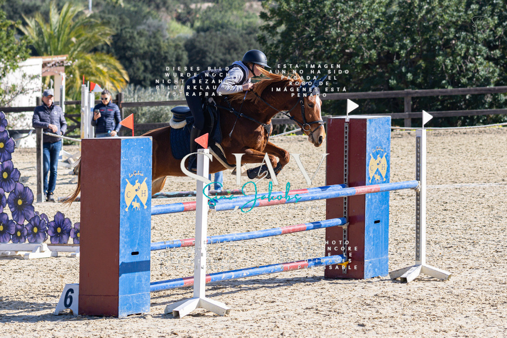 IMG_5414 | s-jay-photography - Realisiert mit Pictrs.com