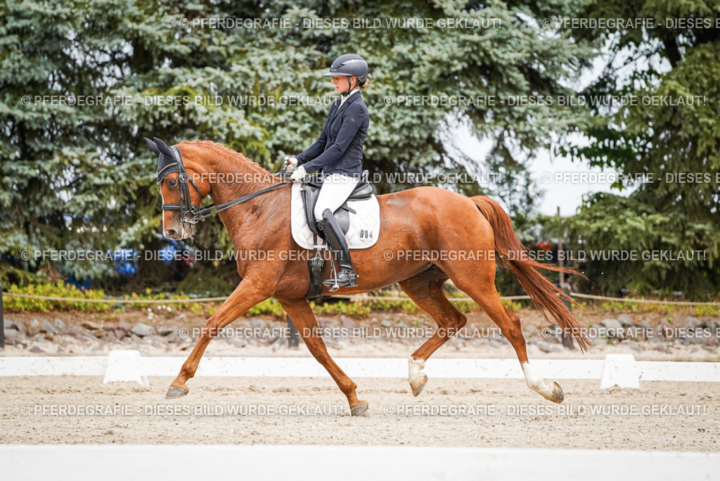 DSC04788 | Pferdegrafie