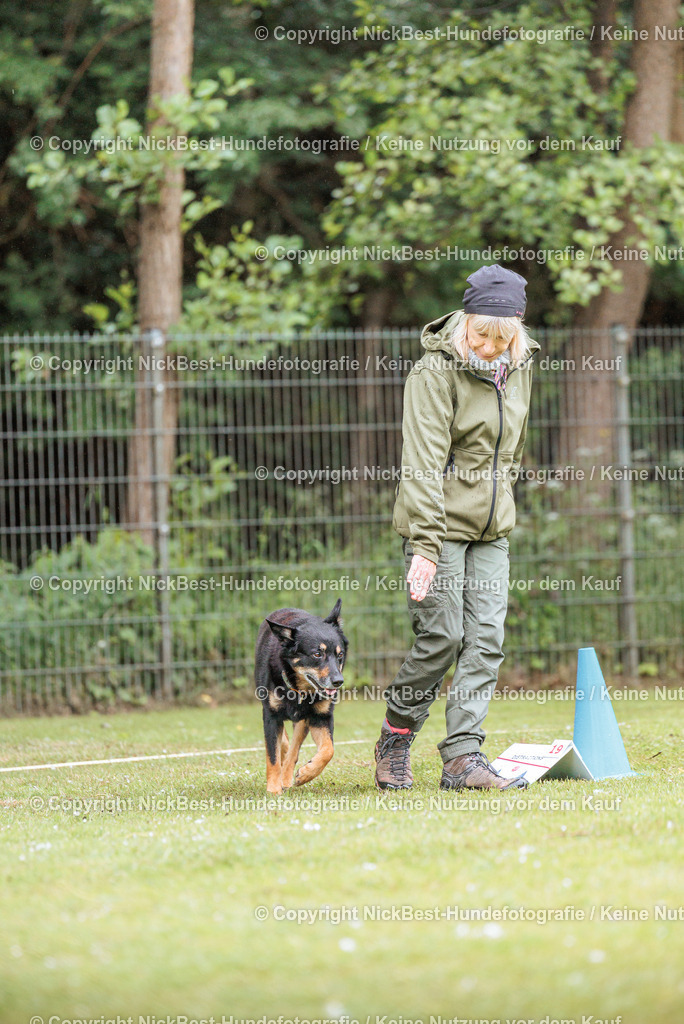 RO-Blumenthal-2026-Nickbest-Hundefotografie-0125 | Dein Hund! Dein Moment! Deine Erinnerungen! Hundefotografie in Bremen Blumenthal. Ich fange die besonderen Momente deines Vierbeiners ein – ob Indoor mit Blitzanlage oder in der freien Natur. Sicher dir dein Moment und dein Termin für eure Erinnerungen.