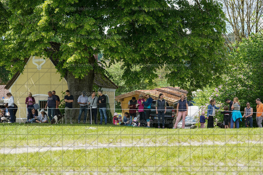 20240518-FAH03222 | Turnierbilder von Niederseon, Turnierfotografen Bayern, Fotoagentur Herrmann, Geländebilder, Reitsportfotografie