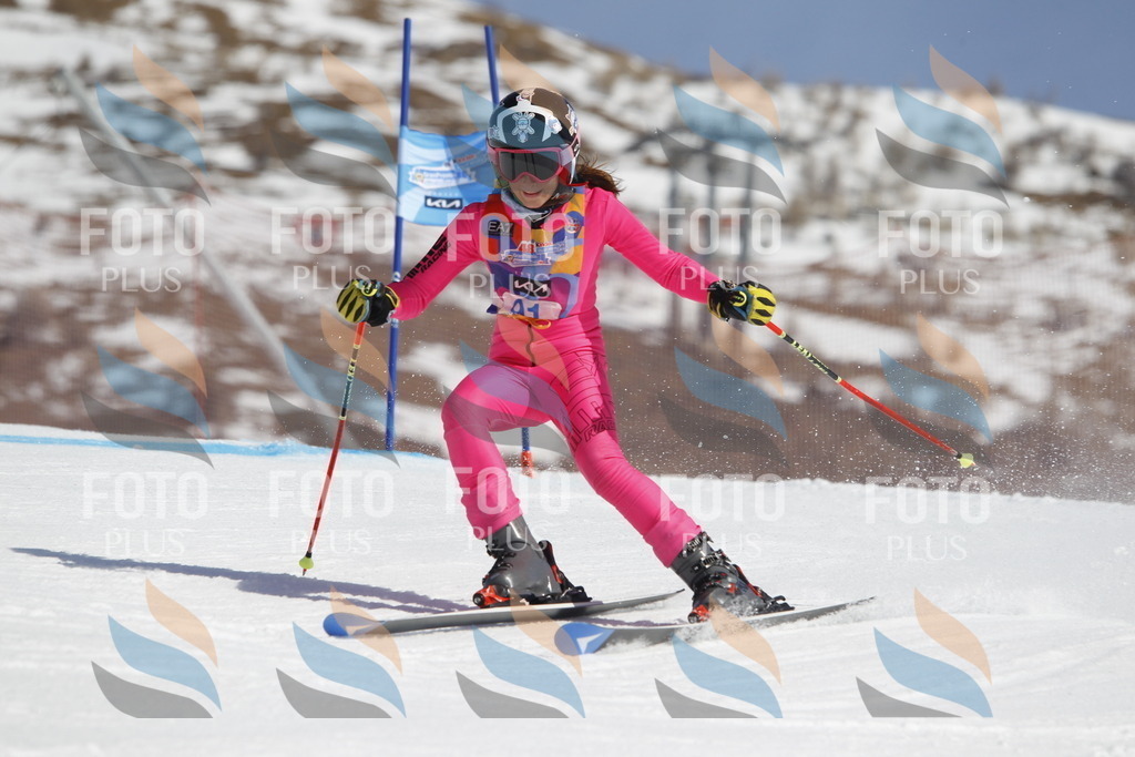 _U3G0173 | holidayphoto