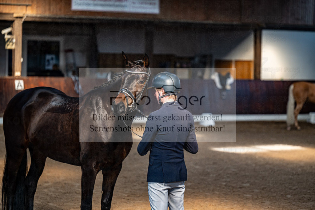 20240308-DOS_4198 | Entdecke hochwertige Reitturnierfotos von Foto Oger. Professionell, emotional und authentisch – jetzt Lieblingsmomente im Shop bestellen.Deutschlandweite Turnierfotografie. - Realisiert mit Pictrs.com