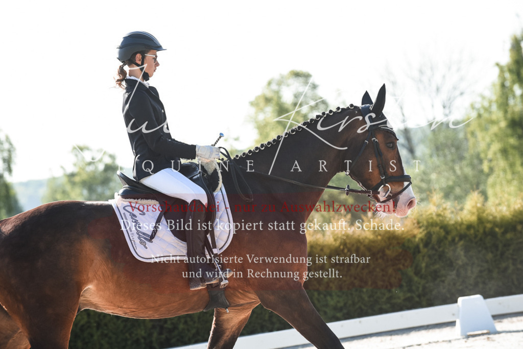 20230518_JK-Röhrsdorf-09-0455 | Pferde- und Turnierfotografie in Westsachsen. Pferdeportraits, Auftragszeichnungen und intuitive Kunst.