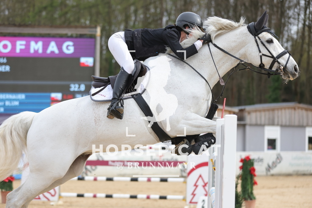 0P6A7069 | Willkommen bei Brunnmayr - Design & Fotografie – Ihrem Spezialisten für Reitturniere und Pferdeveranstaltungen in Oberösterreich, Salzburg und Bayern! Seit über 17 Jahren sind wir leidenschaftlich dabei.