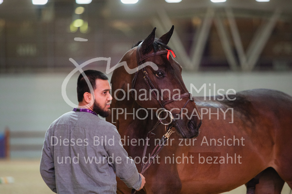 230215_Riyadh_Vet-Check-105 | Deine schönsten Turniermomente als professionelle Fotos! Entdecke hochwertige Pferdesport-Fotografie im Online-Shop. Jetzt Fotos finden & bestellen!