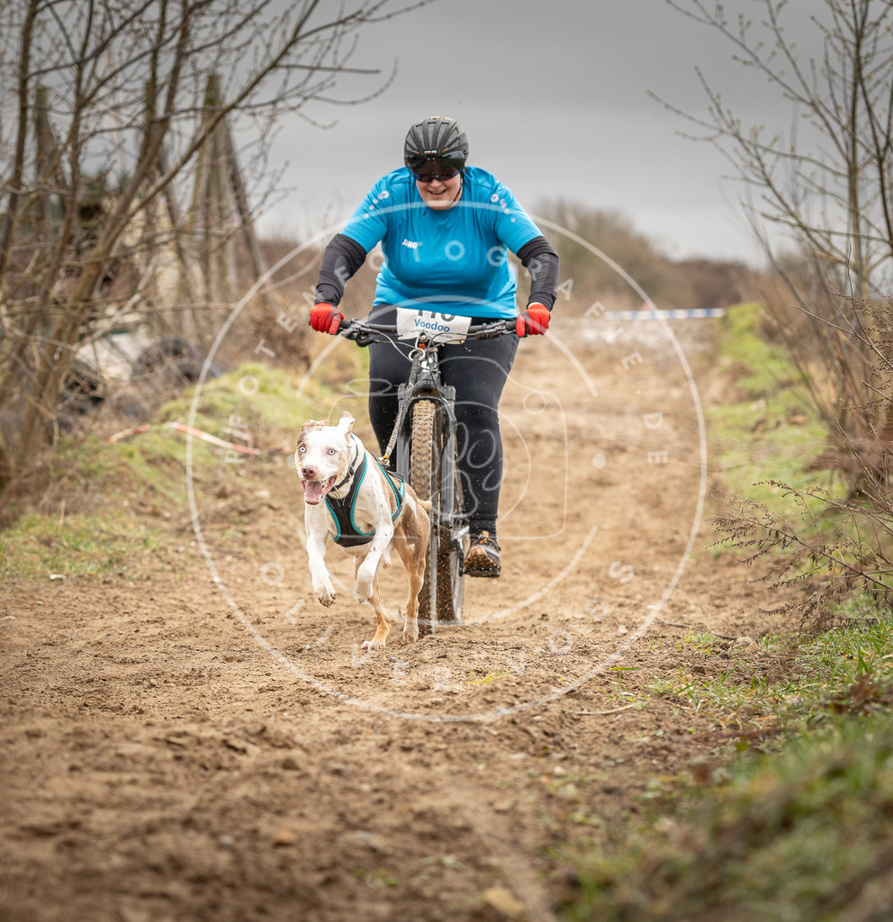 DV3A0693 | Hundefotografie, Tierfotograf, Pfotenfotografie, Fotoshooting Hund, Hunde Portrait, Hundesport, Hundeportraits, Heideshooting, Hunde, Sportfotograf, Hundefotograf, Turnierhundsport, THS,  - Realisiert mit Pictrs.com