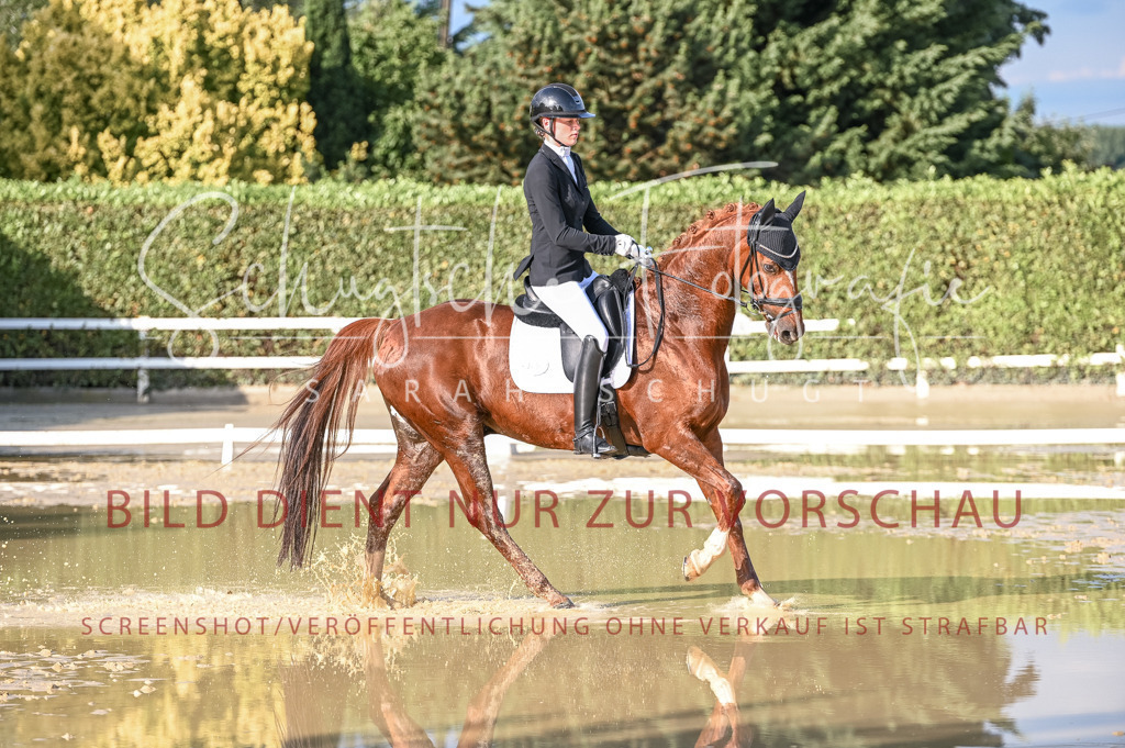 Schugtsche-Aluta25-54.Dressurprf.L1Trense-250 | Schugtsche Fotografie - Realisiert mit Pictrs.com