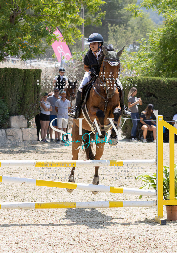 IMG_1621 | s-jay-photography - Realisiert mit Pictrs.com