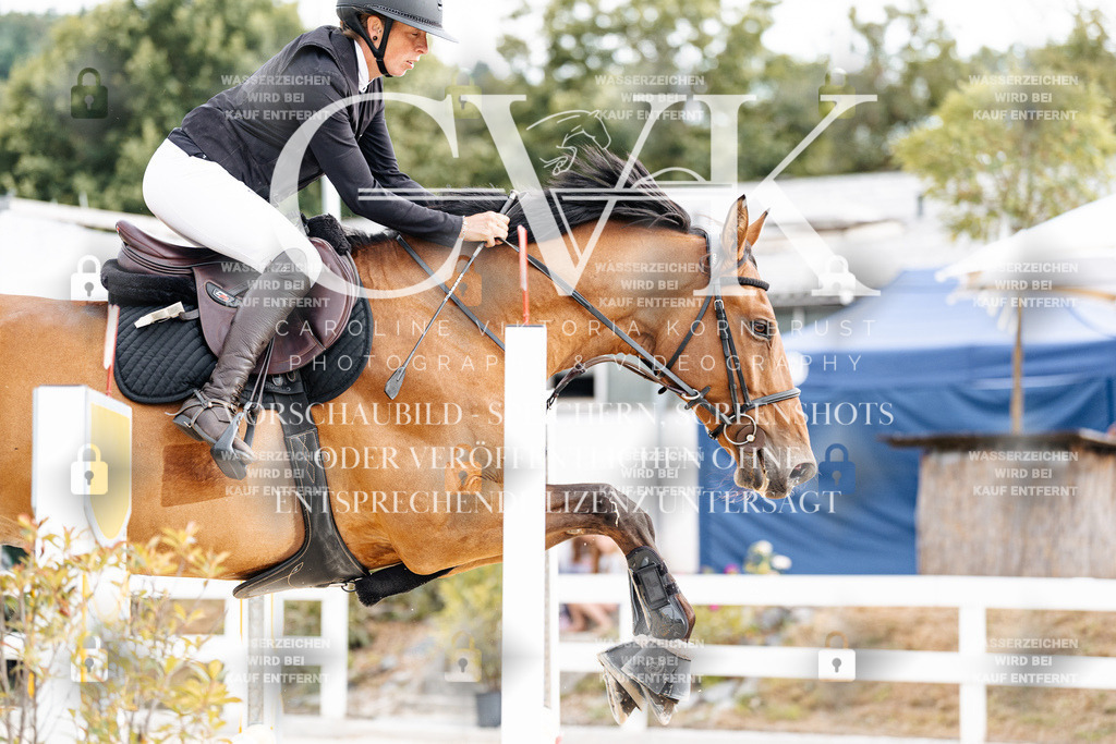 CK902924 | Turnierfotografie Pferdefotografie Trier Rheinland-Pfalz Pferdesport Reitsport Tierfotografie Sportfotografie Pferdevideo Pferdevideografie Equestrianvideography equestrianphotography  - Realisiert mit Pictrs.com