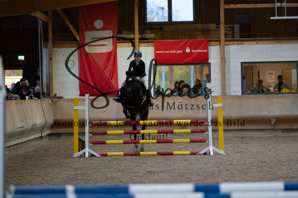 A7V03170 | Pferdefotograf